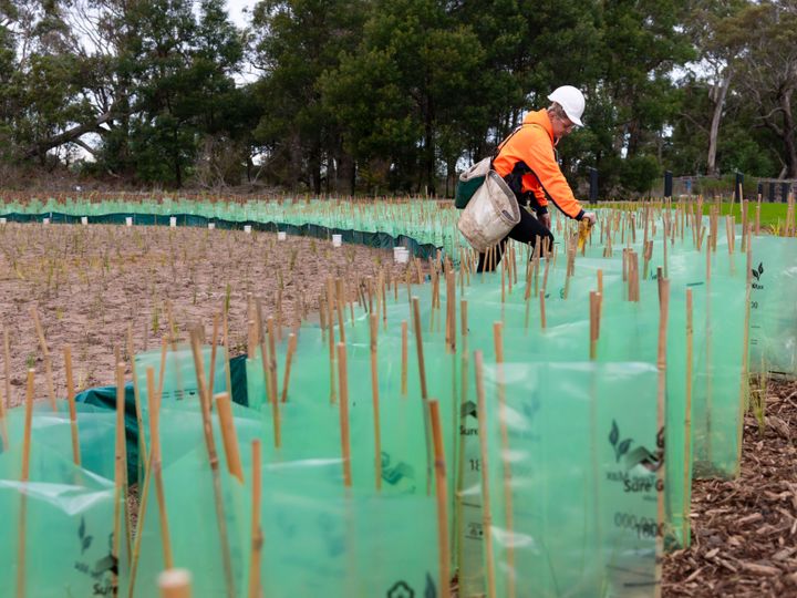 Sustainability Policy