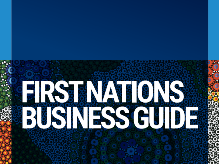 First Nations Business Guide