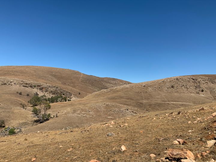 Palmer Wind Farm