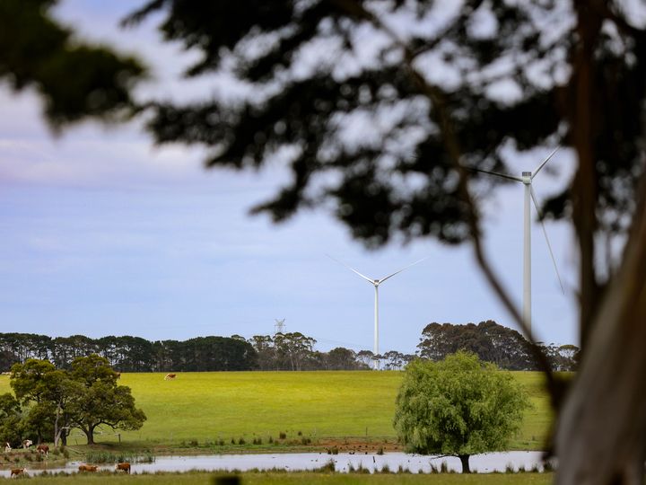 windfarm-62