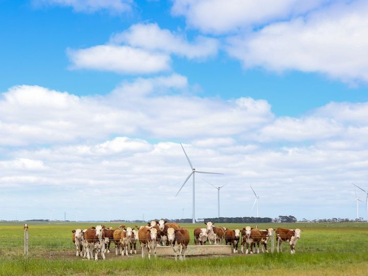 windfarm-72